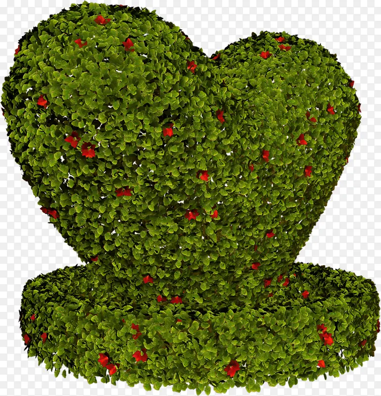 ԰�ְ���ֲ��-������