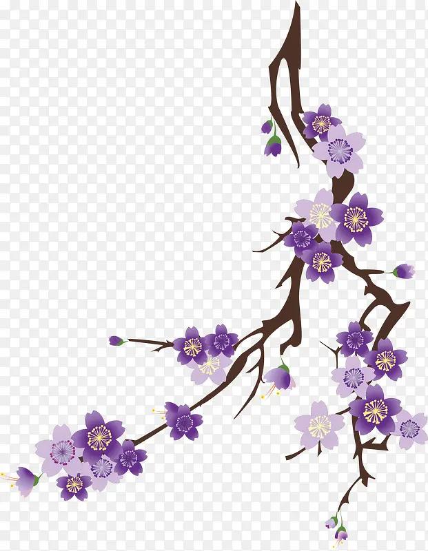 ӣ����֦-������