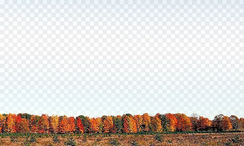 ��Ƭ������-������