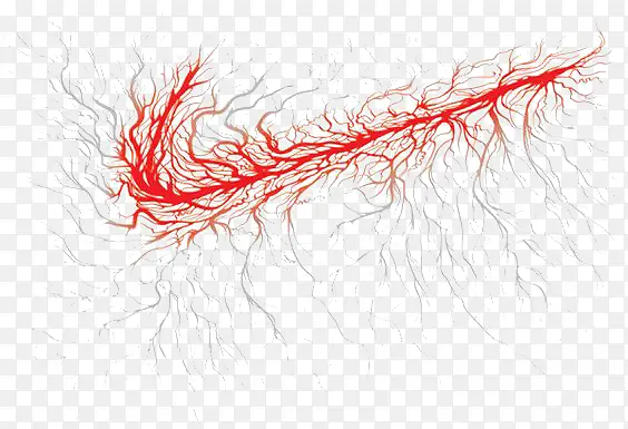 NIKE��־-������