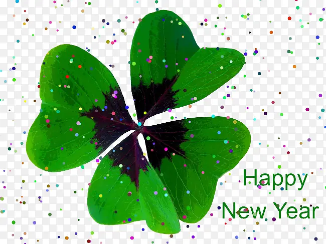 ���� ��Ҷ��-������