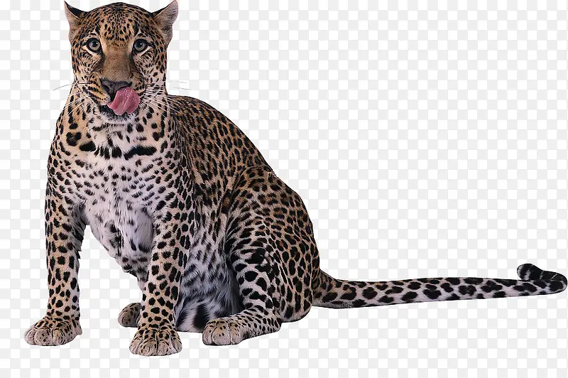 ��-������