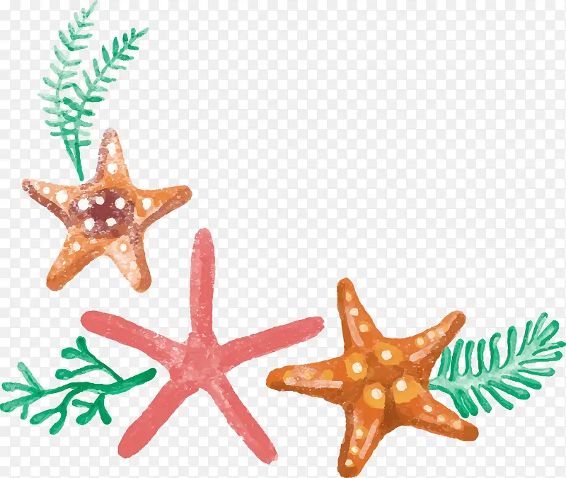 ���� ����-������