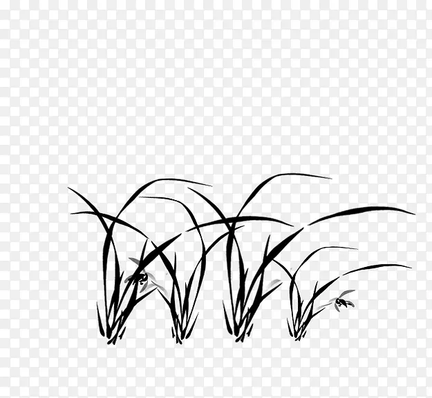 ˮīˮ��-������