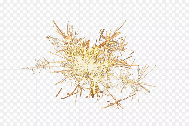 ��֦-��Ů��-������