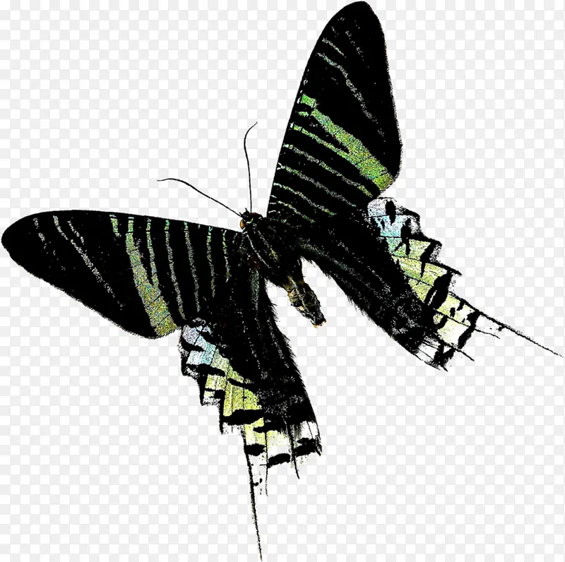 ��ɫʱ�д���������-������