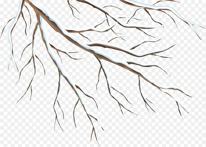 ��ή��֦-������