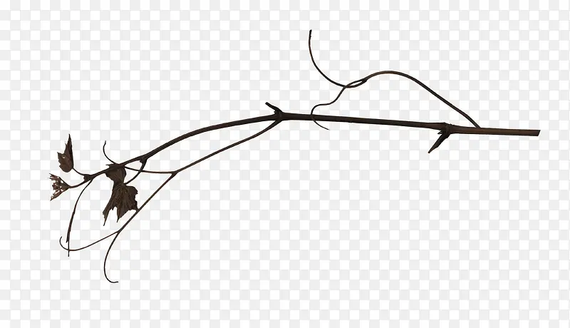 ��ή��֦-������