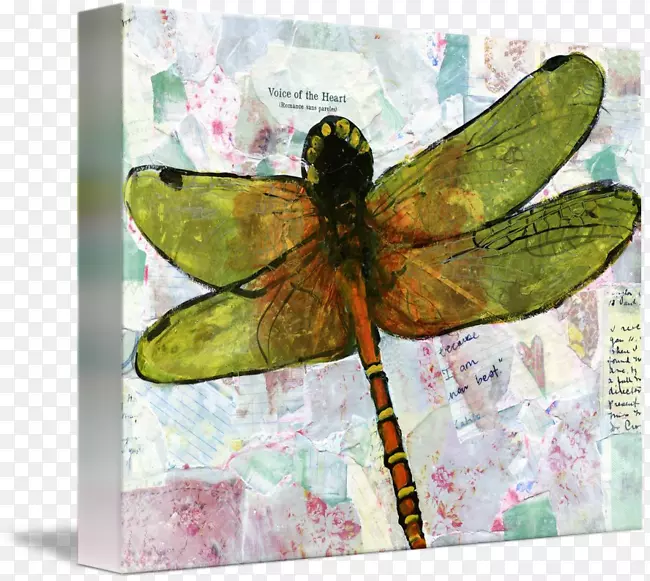 ����ˮ�ʻ�������-����-������