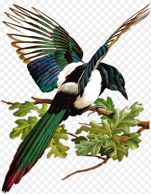 �ֻ湤�ʻ����ز�-������