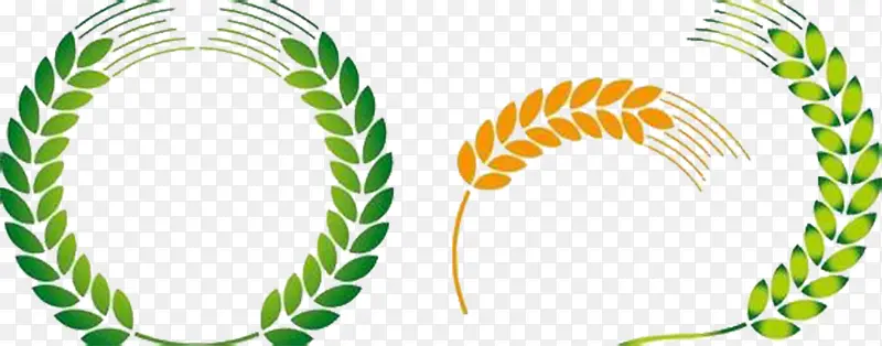 ����ͼ������ز�-������