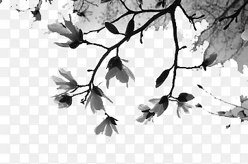 ˮī��-������