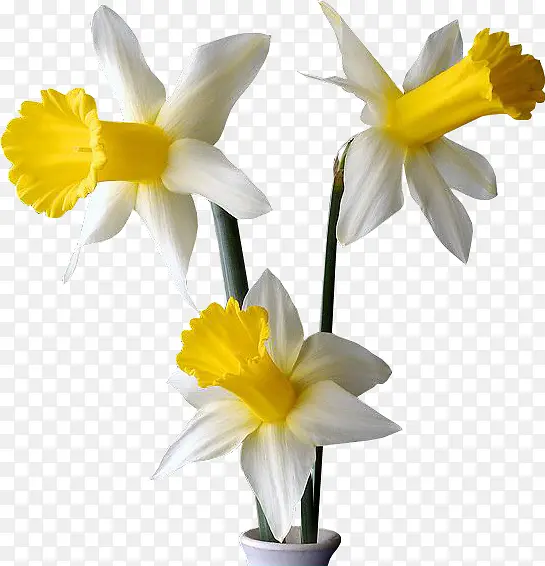 ˮ�ʻ�ɫ�������Ȼ�-������