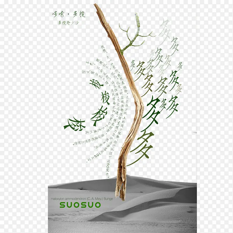 ɳĮ����������-������