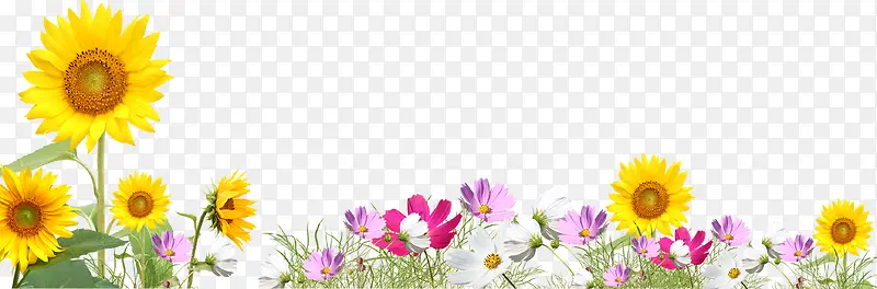 ������Ӱ̫����Ч������-������