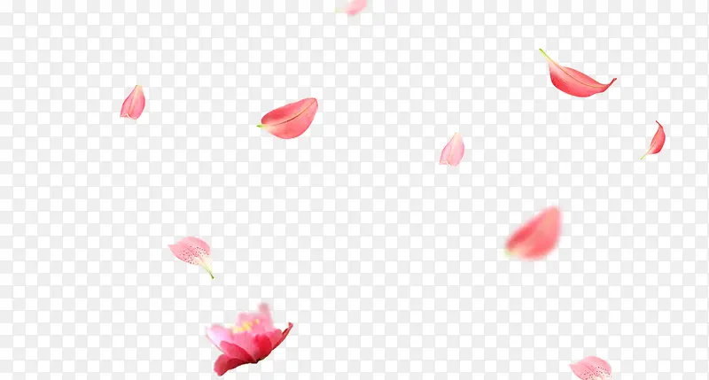 Ư����PNG�ز�-������