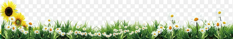 Ұ��С�����տ�-������