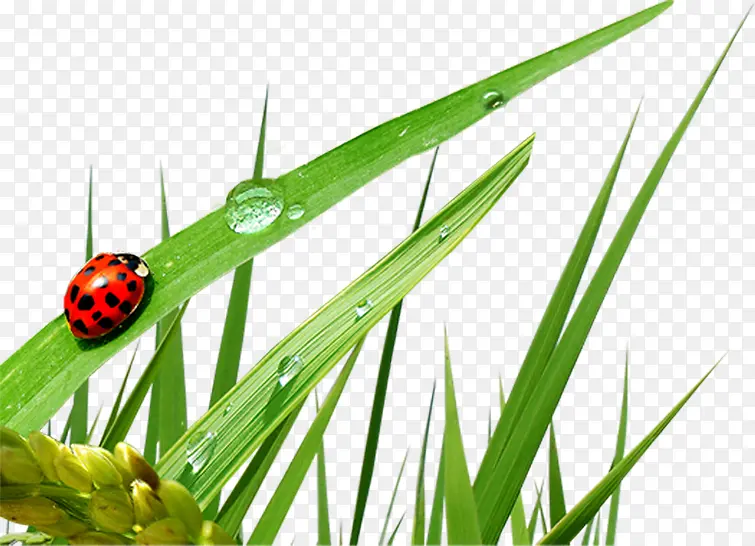 ��Ӱ���պ���ˮ��ݴ�-������