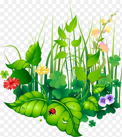 ��Ӱ�����ֻ滨��ݴ�-������