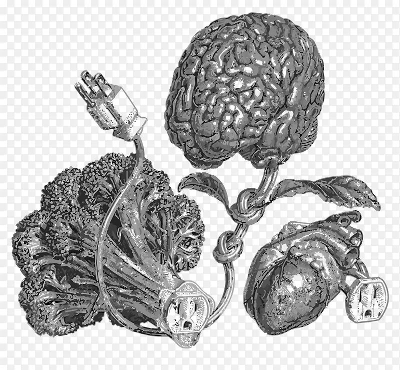 ʸ������Ѫ�ܼ������β廭-������