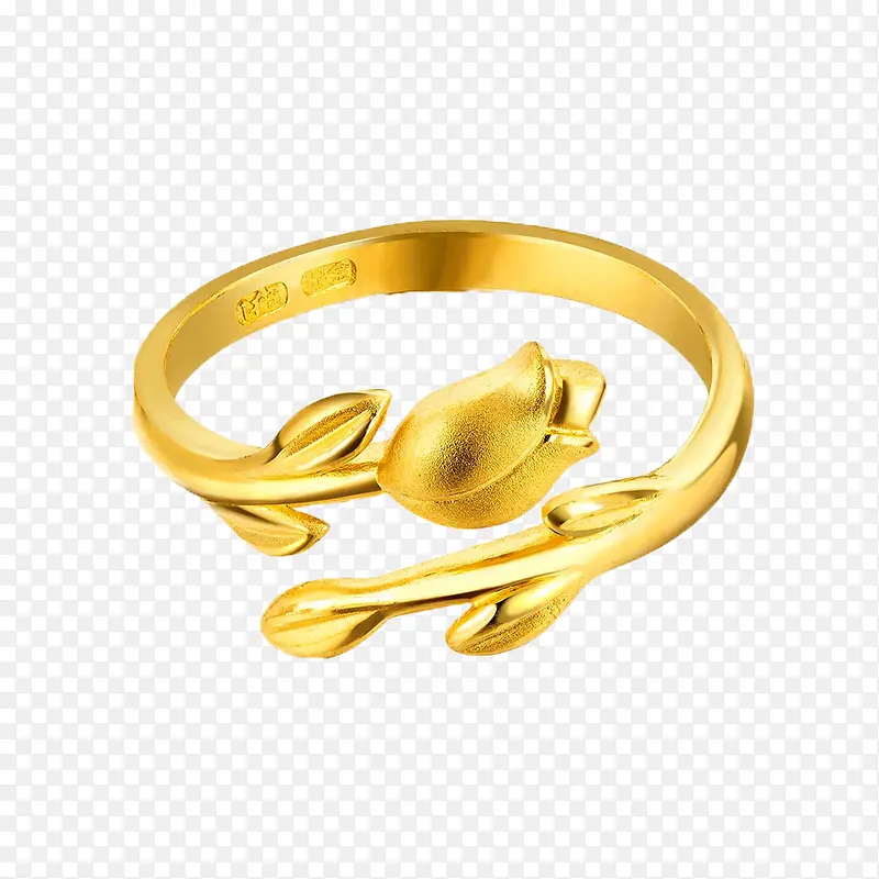 �������ָ-������