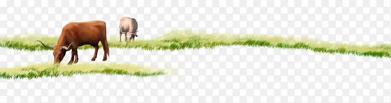 ɽ���ϵ�ţ�Բ�-������