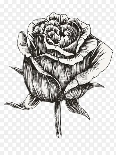 �ֻ�õ�廨-������