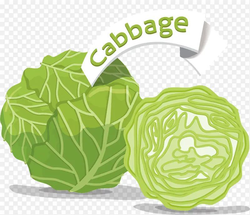 �����ײ��߲�ʸ���ز�-������