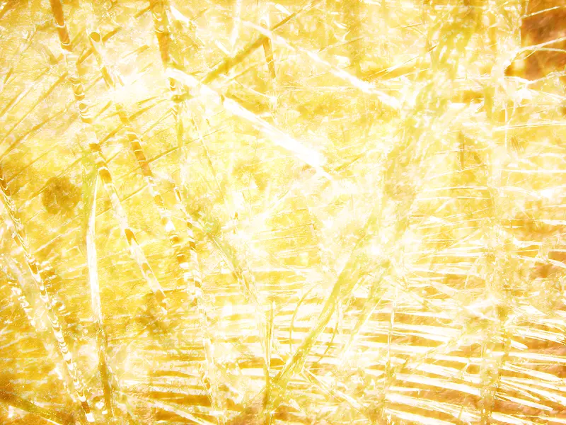 ���ɫ��״����-������