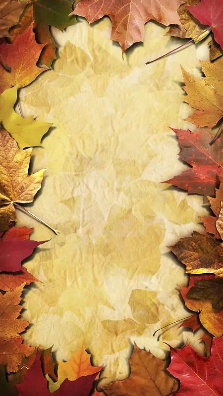 ��Ҷ����-������