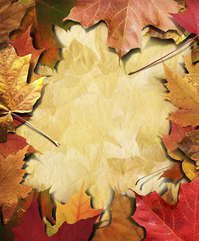 ��Ҷ����-������