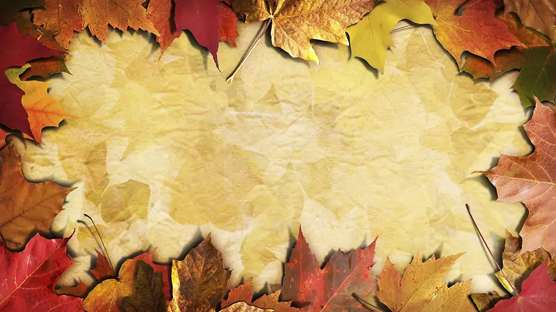 ��Ҷ����-������