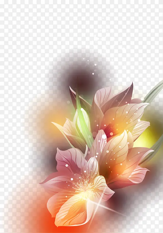 �λ�Ψ�����Ҷ��-������