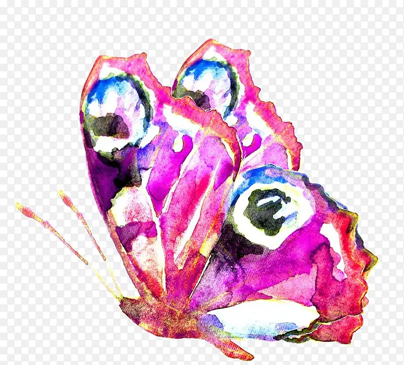 �ֻ����-������