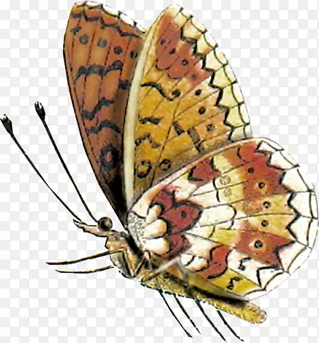 ��ͨ�ֻ��������-������