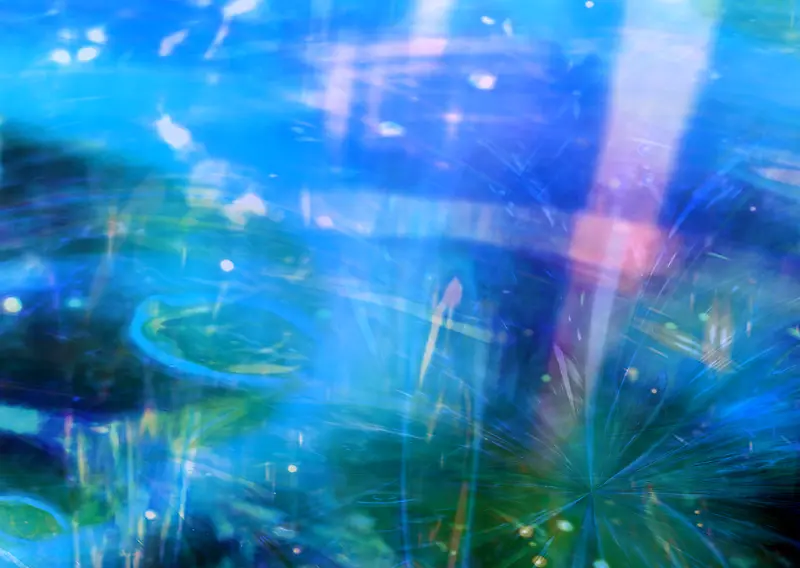 ����Ƽ�����194-������