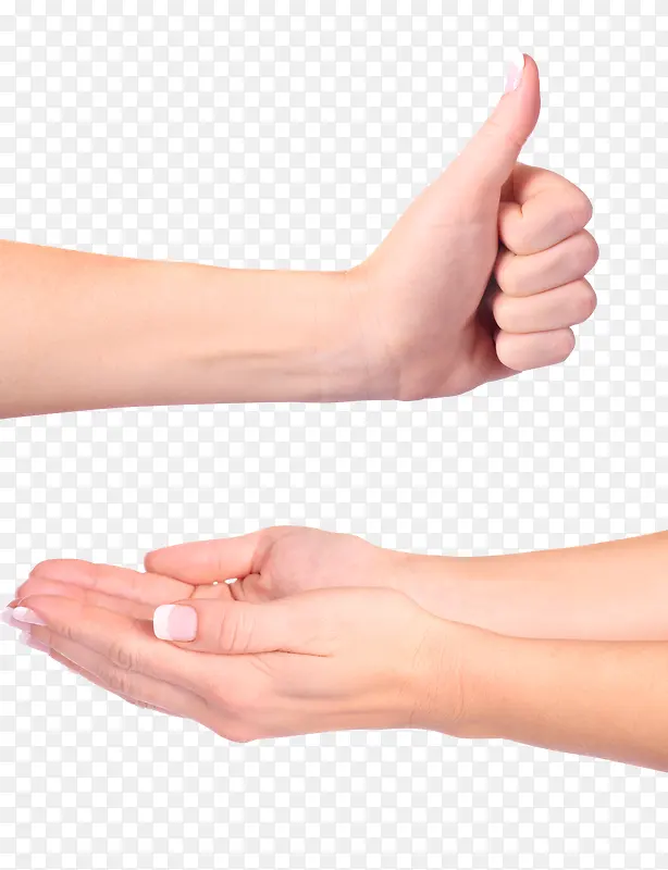 ˫�ֺ͵���-������