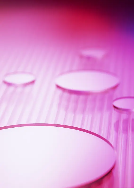 IT�����ز�021-������