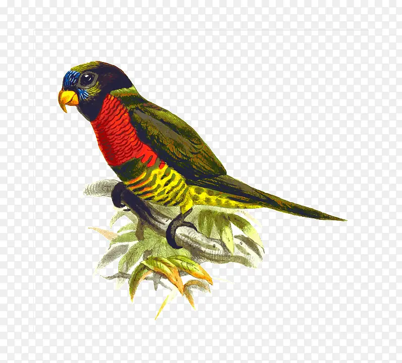 һֻ��˵��������-������