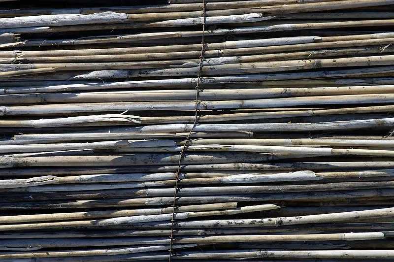 ��������ӱ���-������