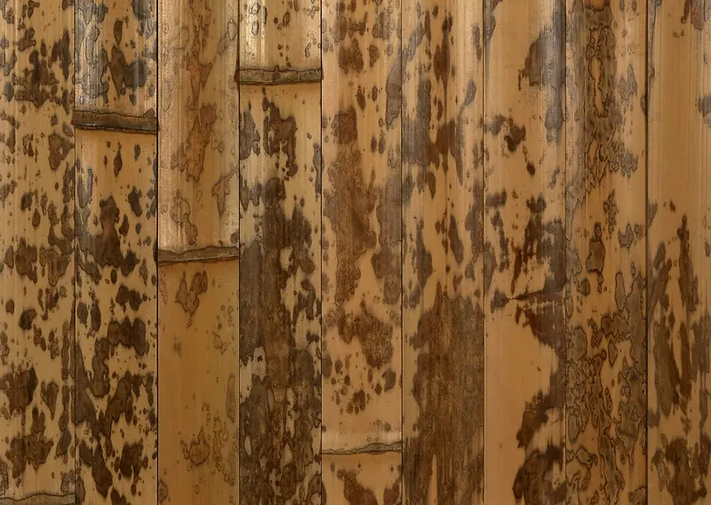 ��屳��-������