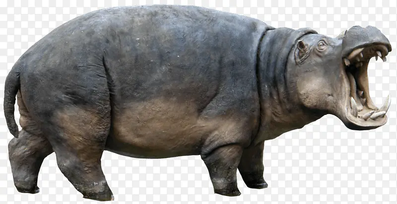 �Ŵ������-������