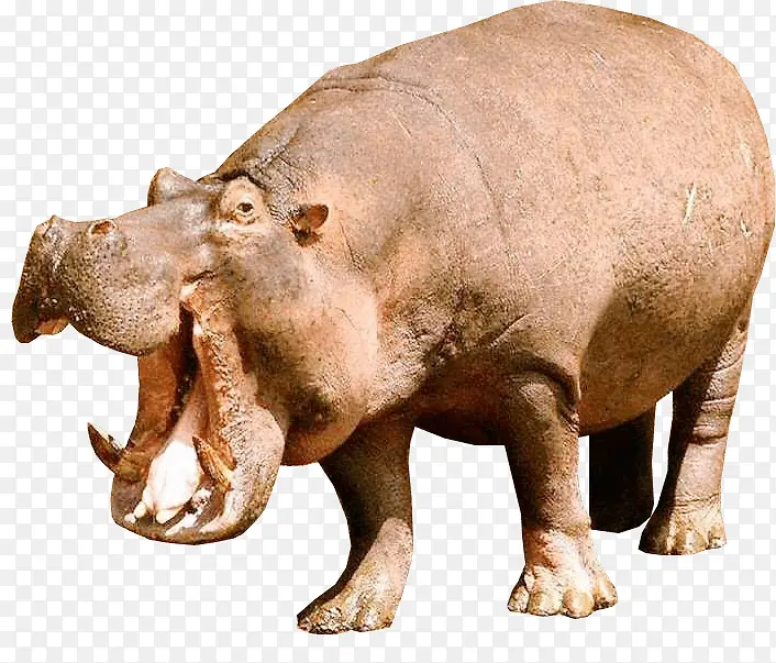 �������-������