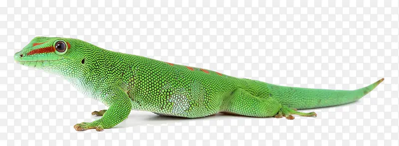 ��������-������