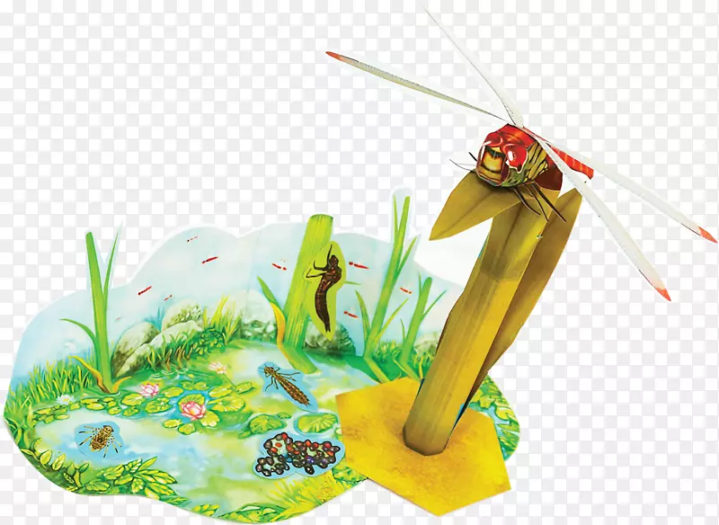 ������̬�޼�׵����-��Ӭ-������