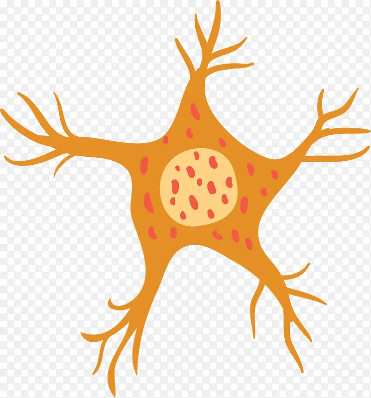 ��״ʸ����ͨ����ϸ��-������