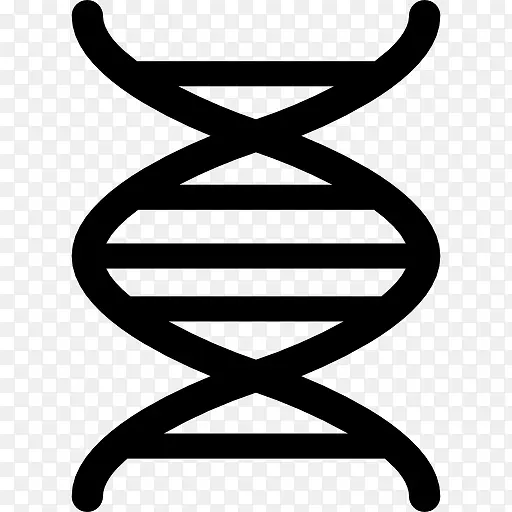 DNA�������Ǻ���ͼ��-������