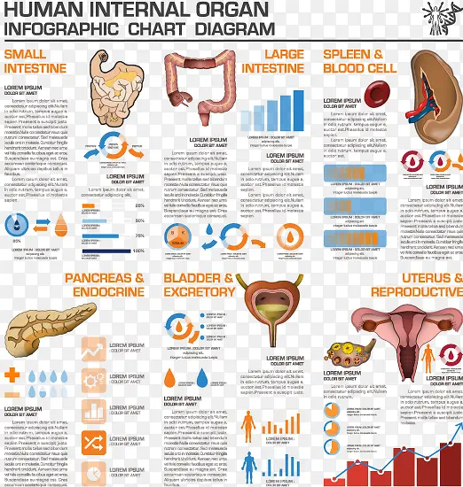 �����������ݷ���ͼ��-������