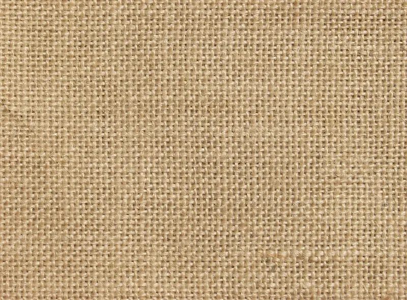 ��ɫ�鲼����-������