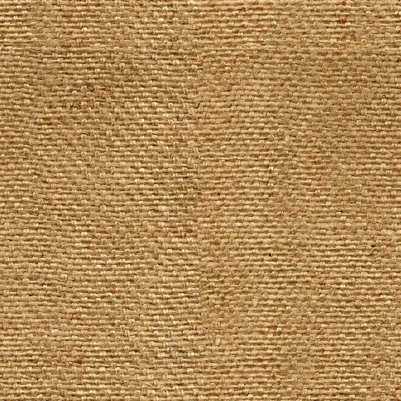 �鲼���Ʊ���-������